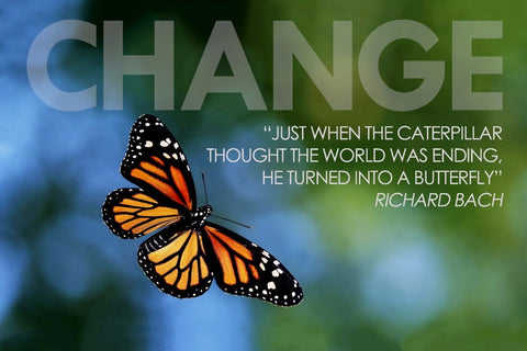 Motivational Quote: CHANGE - Fridge Magnets