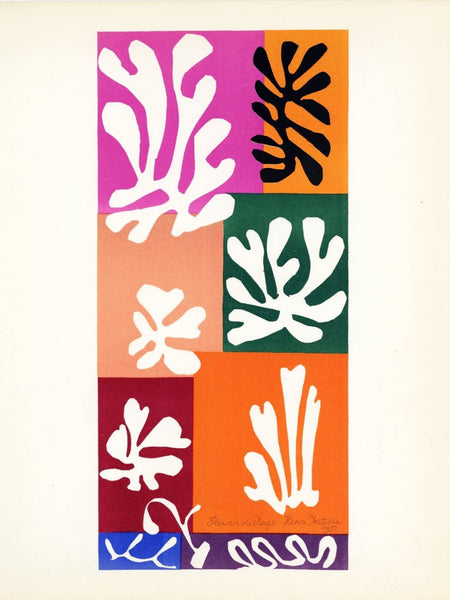 Fleurs De Neige - Henri Matisse - Framed Prints