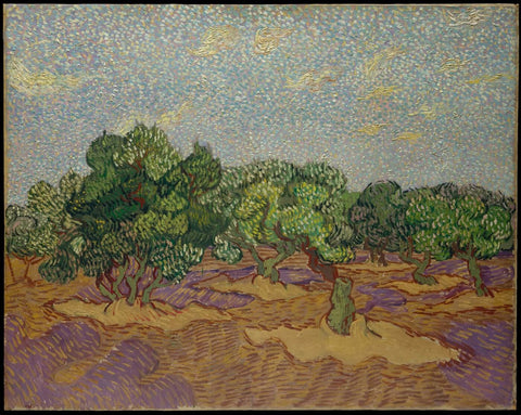 Olive Trees  by Vincent Van Gogh