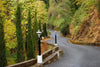 Pathway - Framed Prints