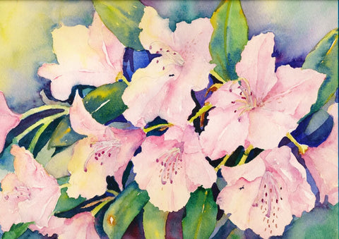 Pink Rhodo - Posters by Lilly Milton