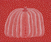 Kusama - Red Pumpkin - Canvas Prints