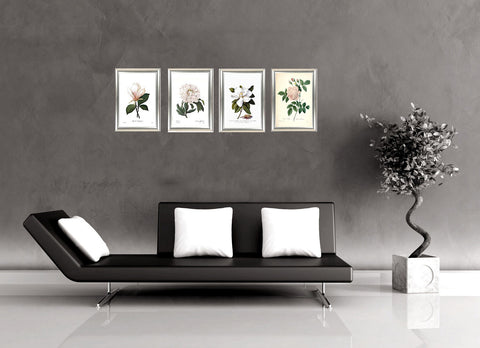 Set Of 4 Botanical Illustration Paintings - Premium Quality Framed Print (9 x 12 inches)