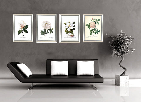 Set Of 4 Botanical Illustration Paintings - Premium Quality Framed Print (15 x 20 inches) by Tallenge Store