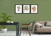 Set Of 3 Botanical Illustrations - Premium Quality Framed Digital Print With Matte And Glass (17 x 12 inches) each