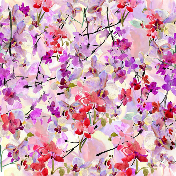 Cherry Blossom - Large Art Prints