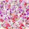 Cherry Blossom - Canvas Prints