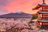Mount Fuji Sunset with Cherry Blossom Sakura In Bloom - Large Art Prints