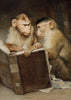 The Scholars - Large Art Prints