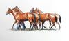 Four Horses In Watercolors - Large Art Prints