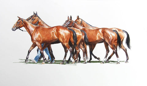 Four Horses In Watercolors - Posters by Joel Jerry