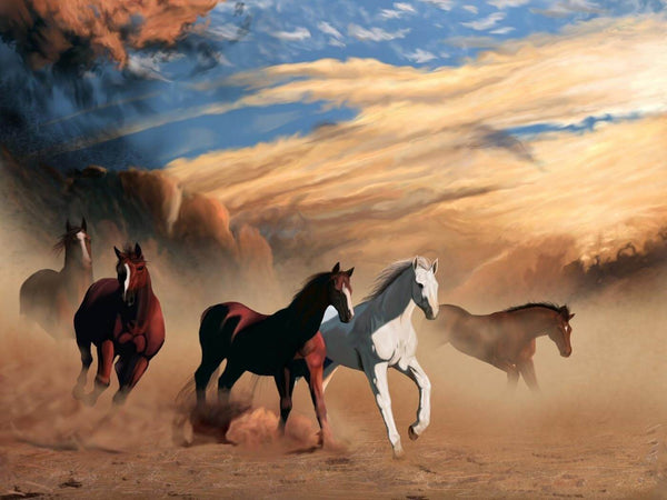 Running Horses - Digital Art - Framed Prints