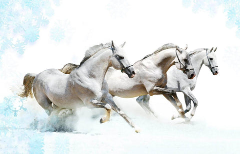 White Horses Running - Large Art Prints by Joel Jerry