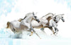 White Horses Running - Canvas Prints