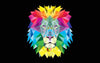 Digital Art - Colorful Lion Face - Canvas Prints