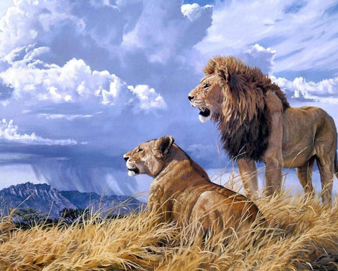 Looking Out - The Lion Family - Large Art Prints by Sherly David