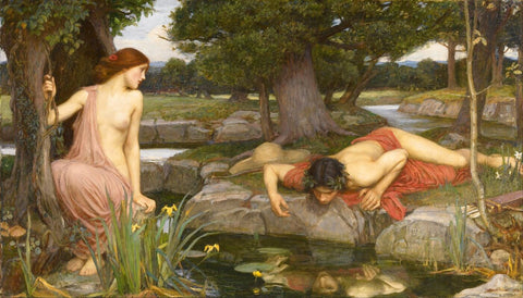 Echo and Narcissus - Canvas Prints by John William Waterhouse