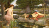 Echo and Narcissus - Canvas Prints