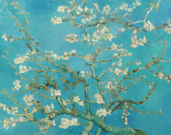 Almond Blossoms Art By Vincent Van Gogh Fridge Magnets