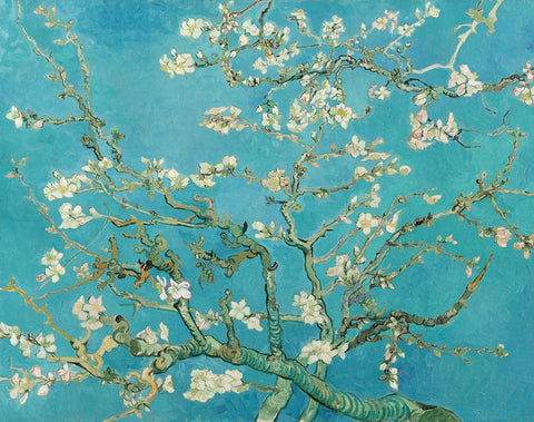 Almond Blossoms - Fridge Magnets by Vincent van Gogh