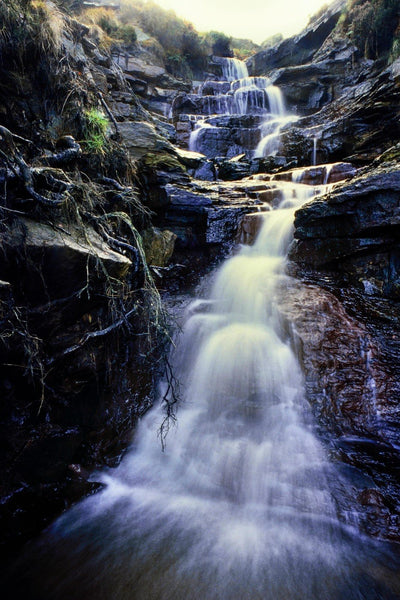 Bronte Waterfall - Large Art Prints