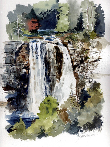 Eugenia Falls - Framed Prints by Janet Simmons