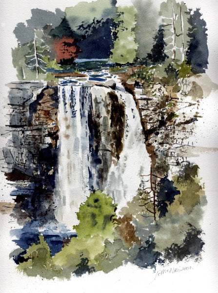 Eugenia Falls - Art Prints